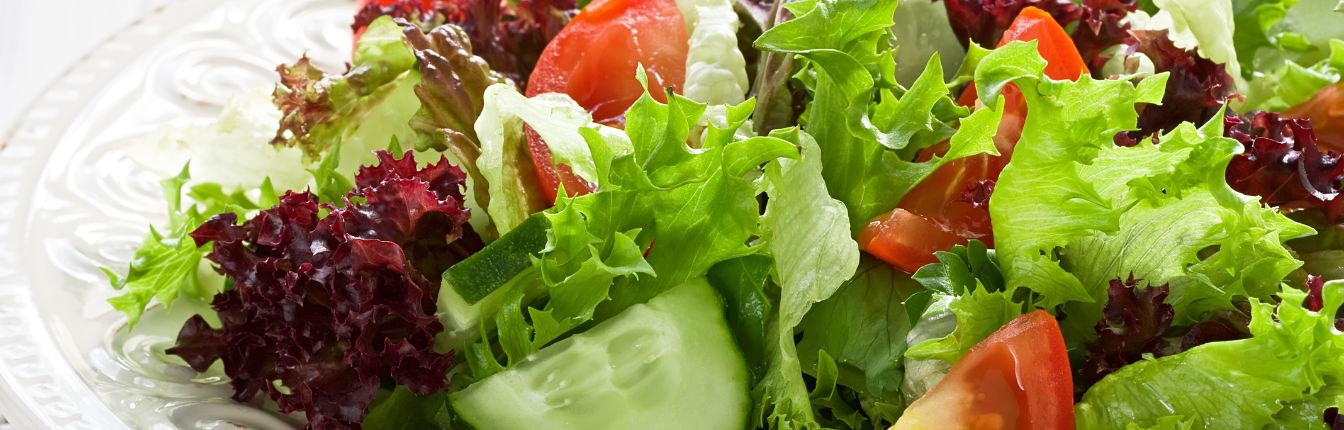 A plated salad with green lettuce, tomatoes and cucumbers.