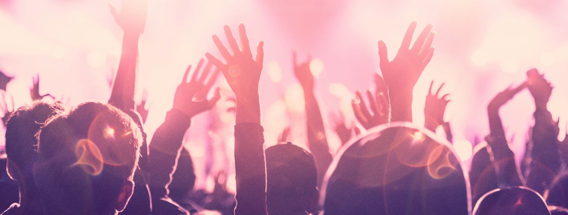 Fans in the crowd at a rock concert.